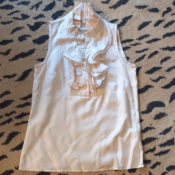 Light Pink Silk Sleeveless Dress Shirt by JCrew - Picture 3 of 9